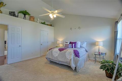 267 Cherrywood Parc Dr, O'fallon, MO 63368 photo 6