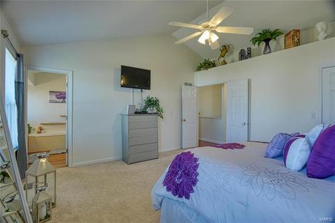 267 Cherrywood Parc Dr, O'fallon, MO 63368 photo 19