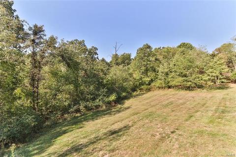 17911 Paradise Dr, Glencoe, MO 63038 photo 69