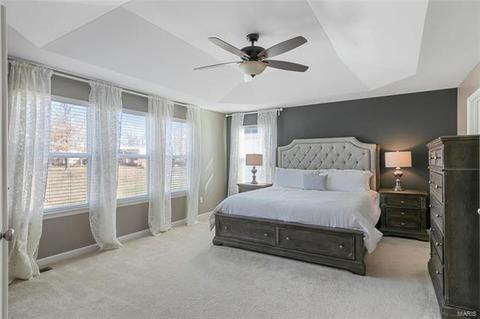 101 Grenache Ct, O'fallon, MO 63368 photo 7