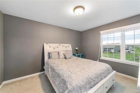101 Grenache Ct, O'fallon, MO 63368 photo 11