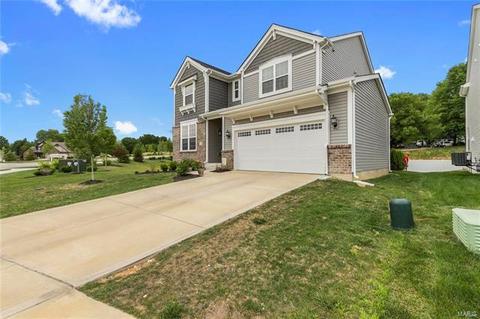 101 Grenache Ct, O'fallon, MO 63368 photo 28