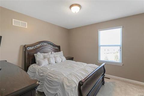 101 Grenache Ct, O'fallon, MO 63368 photo 13