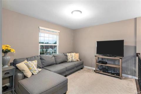101 Grenache Ct, O'fallon, MO 63368 photo 26