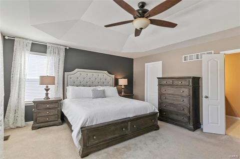 101 Grenache Ct, O'fallon, MO 63368 photo 21