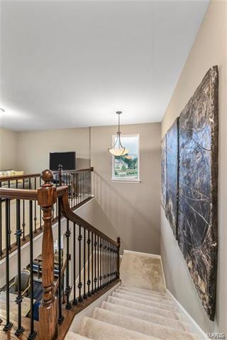 101 Grenache Ct, O'fallon, MO 63368 photo 16