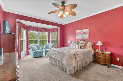 497 Coachgate Ct, Ballwin, MO 63021 photo 19
