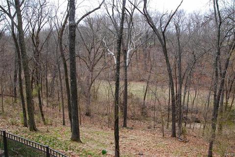 54 W Oak Hill Dr, Ellisville, MO 63021 photo 22