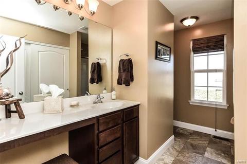 222 Flint Brook Dr, O'fallon, MO 63366 photo 17