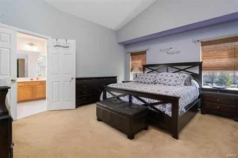 19 Briarcastle Ct, O'fallon, MO 63366 photo 12