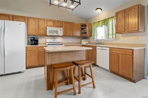 19 Briarcastle Ct, O'fallon, MO 63366 photo 9