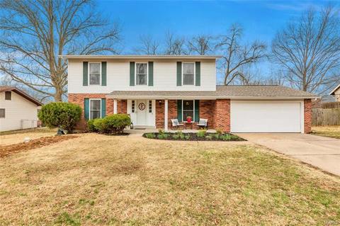 304 Croydon Ln, Manchester, MO 63021 photo 1