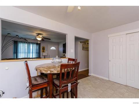 901 Love Dr, O'fallon, MO 63366 photo 8