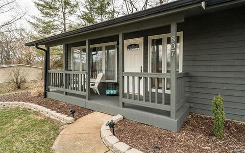807 Rauscher Dr, Ballwin, MO 63011 photo 30