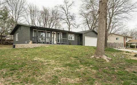 807 Rauscher Dr, Ballwin, MO 63011 photo 29