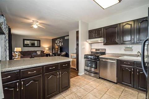 807 Rauscher Dr, Ballwin, MO 63011 photo 3