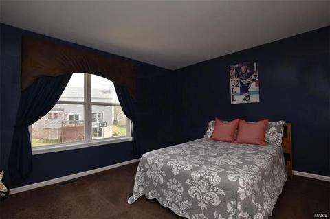 4 Eads Ct, O'fallon, MO 63368 photo 30