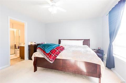 165 Brushy Brook Dr, O'fallon, MO 63366 photo 13