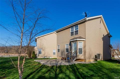 165 Brushy Brook Dr, O'fallon, MO 63366 photo 14