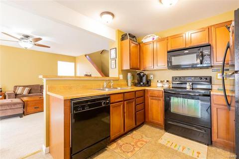 165 Brushy Brook Dr, O'fallon, MO 63366 photo 7