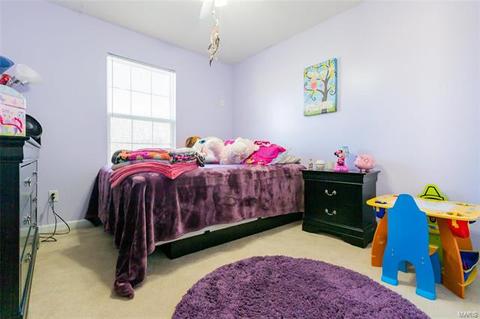 165 Brushy Brook Dr, O'fallon, MO 63366 photo 11