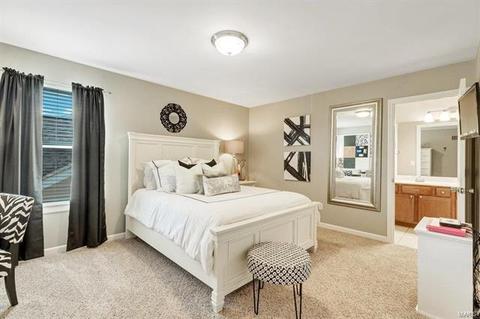 208 Chestnut Hill Dr, O'fallon, MO 63368 photo 30