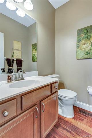 208 Chestnut Hill Dr, O'fallon, MO 63368 photo 20