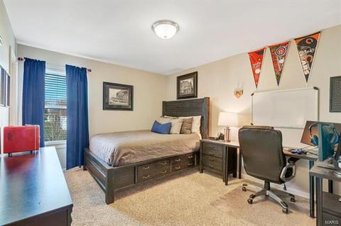 208 Chestnut Hill Dr, O'fallon, MO 63368 photo 31