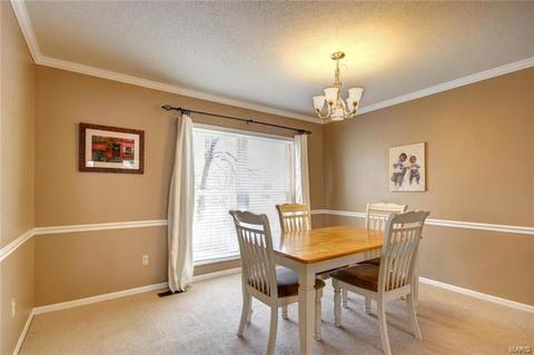 816 Ginger Wood Ct, Ballwin, MO 63021 photo 11