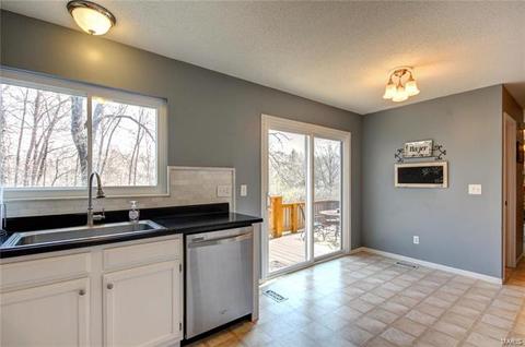 816 Ginger Wood Ct, Ballwin, MO 63021 photo 19