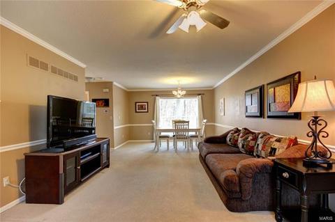 816 Ginger Wood Ct, Ballwin, MO 63021 photo 6