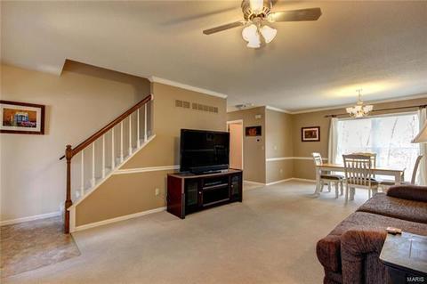 816 Ginger Wood Ct, Ballwin, MO 63021 photo 7