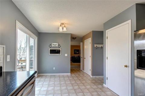 816 Ginger Wood Ct, Ballwin, MO 63021 photo 20