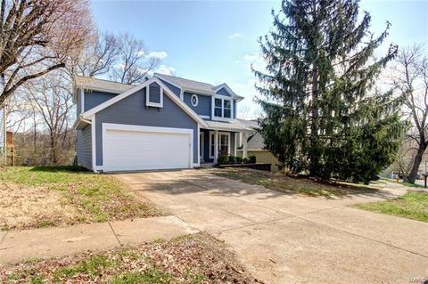 816 Ginger Wood Ct, Ballwin, MO 63021 photo 4