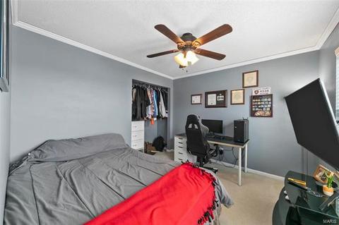 2650 Breezy Point Ln, O'fallon, MO 63368 photo 27