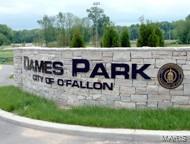 4 Jamesport Ct, O'fallon, MO 63366 photo 39