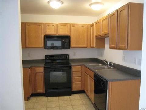 435 Parkview Place Dr, Ellisville, MO 63021 photo 5