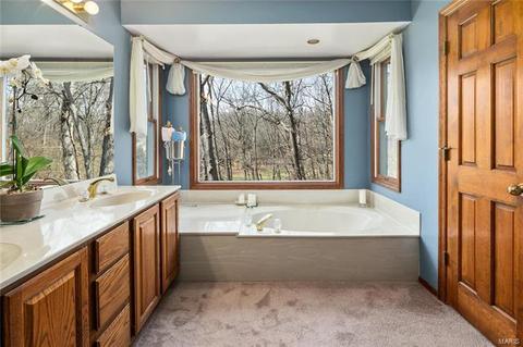 437 Thunderhead Cyn, Wildwood, MO 63011 photo 19