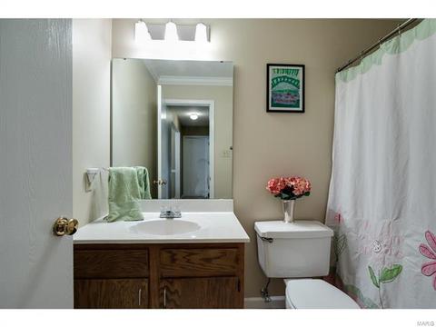 2583 Barrett Place Dr, Ballwin, MO 63021 photo 15