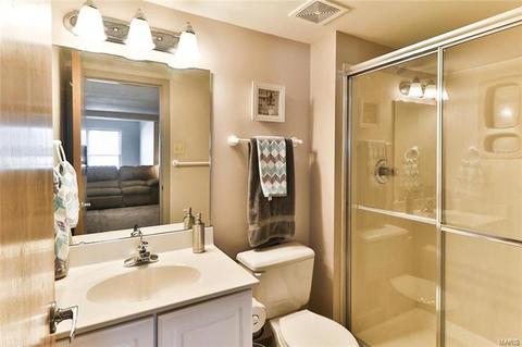 914 Crown Pointe Estates Dr, Wildwood, MO 63021 photo 45