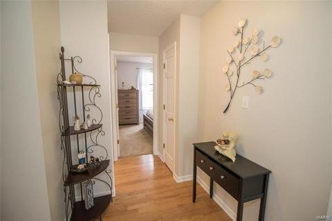 43 Dunmore Cir, O'fallon, MO 63368 photo 28