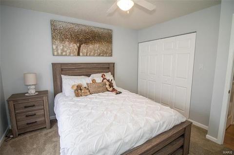 43 Dunmore Cir, O'fallon, MO 63368 photo 24