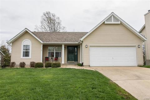 43 Dunmore Cir, O'fallon, MO 63368 photo 53