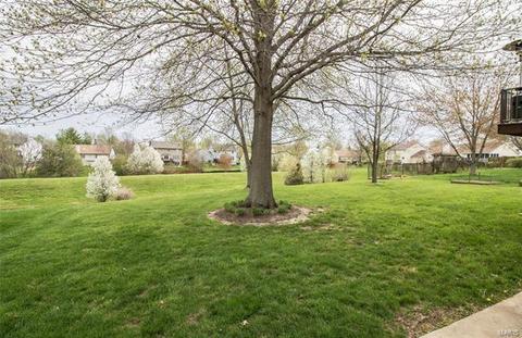 43 Dunmore Cir, O'fallon, MO 63368 photo 52