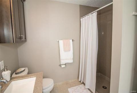 43 Dunmore Cir, O'fallon, MO 63368 photo 22