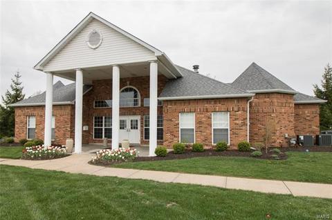 43 Dunmore Cir, O'fallon, MO 63368 photo 54