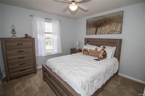 43 Dunmore Cir, O'fallon, MO 63368 photo 23