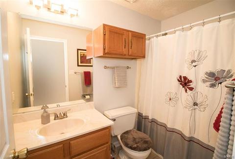 43 Dunmore Cir, O'fallon, MO 63368 photo 16