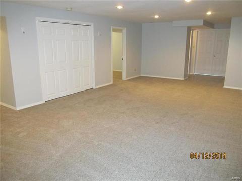 43 Dunmore Cir, O'fallon, MO 63368 photo 29