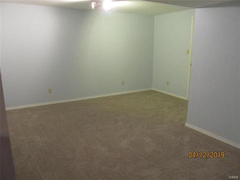 43 Dunmore Cir, O'fallon, MO 63368 photo 32